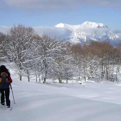 Ciaspolate 2014 - Cornillo nuovo di Amatrice - Monte Cardito